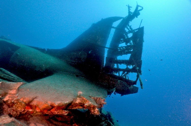 Wreck Dive | Plane | Bodrum